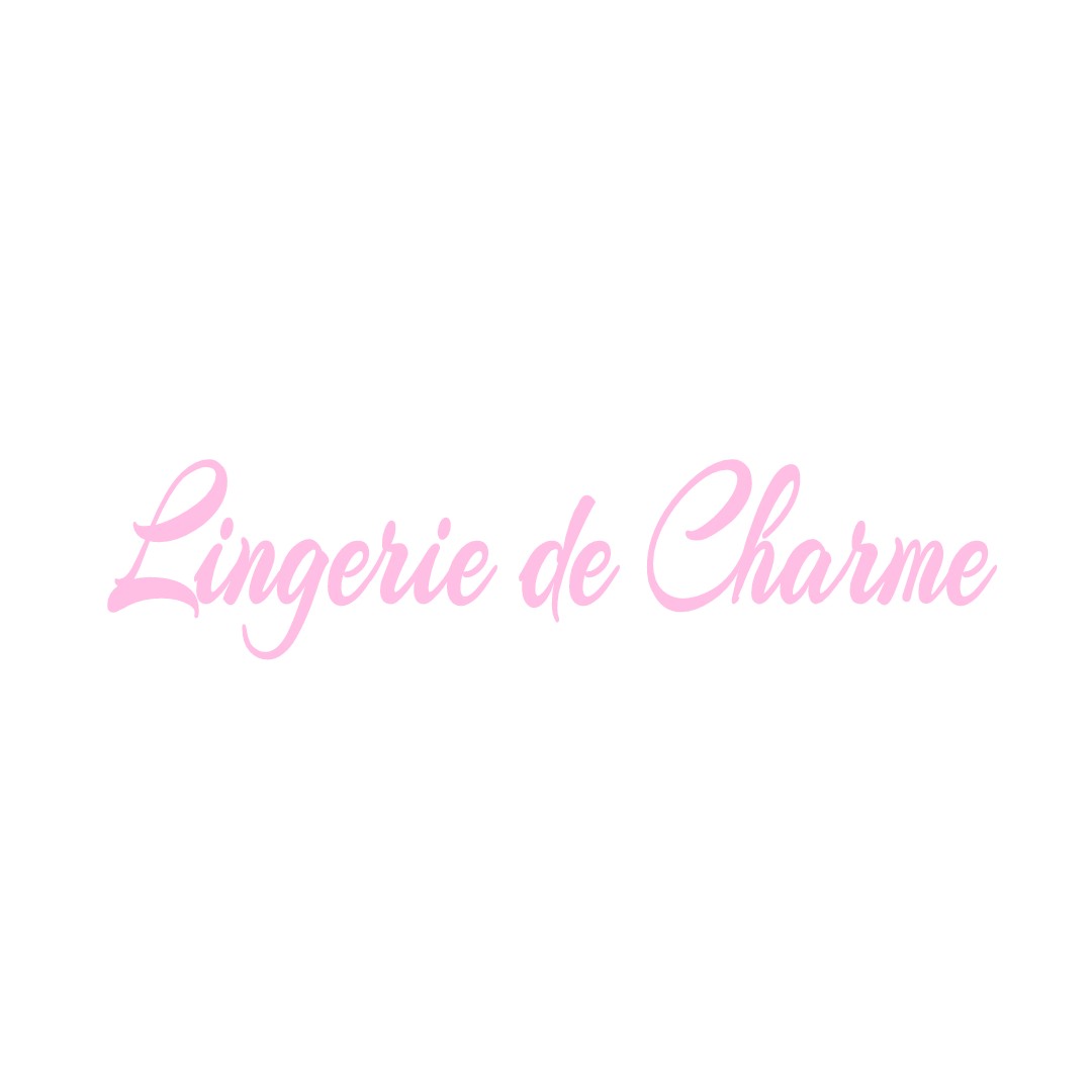LINGERIE DE CHARME CHEMIRE-LE-GAUDIN